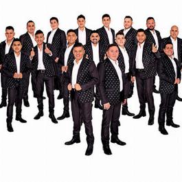 Karaokes  de Banda El Limon
