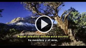 Karaoke El arbolito Grupo Nectar