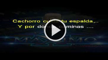 Karaoke El secuestro del cachorro El Coyote