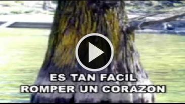 Karaoke Es tan fácil romper un corazón Miguel Mateos