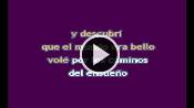 Karaoke Mentira - Buddy Richard