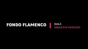 Karaoke Ojala pudiera ir Fondo Flamenco