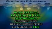 Karaoke Si te vuelvo a ver - Conjunto Primavera