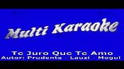 Karaoke Te juro que te amo - Los Terricolas
